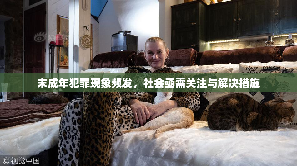 末成年犯罪现象频发，社会亟需关注与解决措施