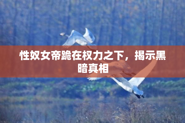 性奴女帝跪在权力之下，揭示黑暗真相