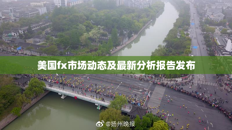 美国fx市场动态及最新分析报告发布