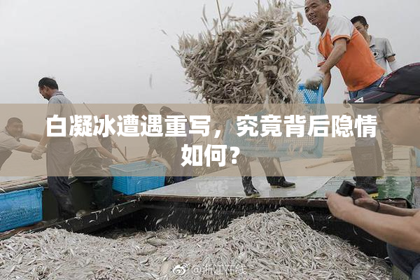 白凝冰遭遇重写，究竟背后隐情如何？