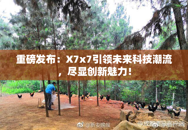重磅发布：X7x7引领未来科技潮流，尽显创新魅力！