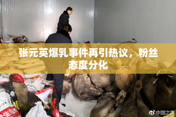 张元英爆乳事件再引热议，粉丝态度分化