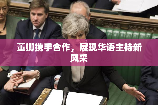 董卿携手合作，展现华语主持新风采