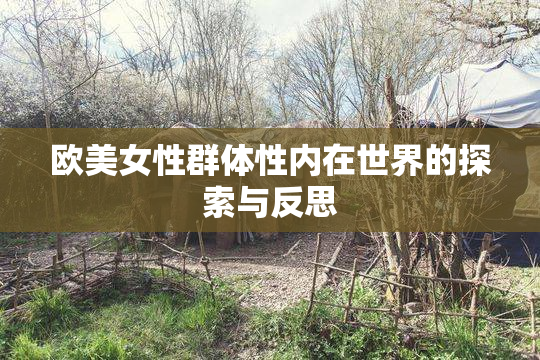 欧美女性群体性内在世界的探索与反思