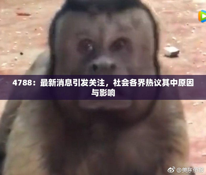 4788：最新消息引发关注，社会各界热议其中原因与影响