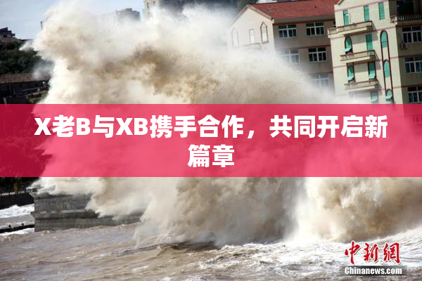 X老B与XB携手合作，共同开启新篇章