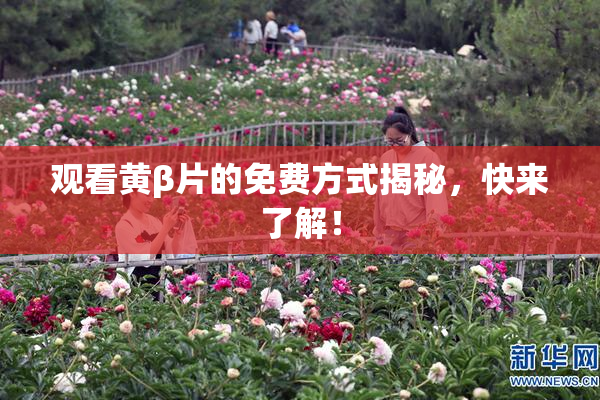 观看黄β片的免费方式揭秘，快来了解！