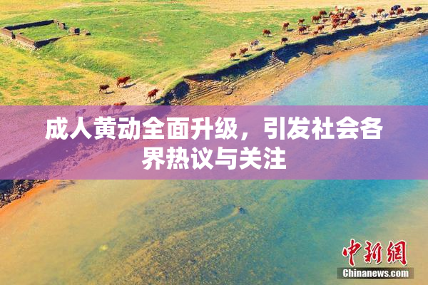 成人黄动全面升级，引发社会各界热议与关注