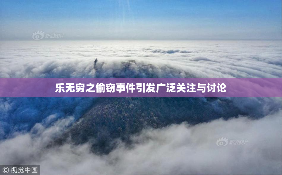 乐无穷之偷窃事件引发广泛关注与讨论