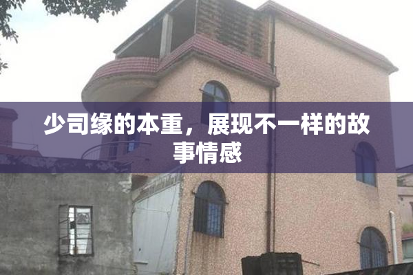 少司缘的本重，展现不一样的故事情感