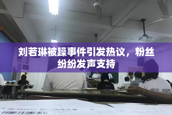 刘若琳被躁事件引发热议，粉丝纷纷发声支持