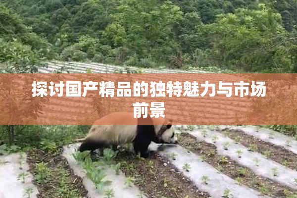 探讨国产精品的独特魅力与市场前景