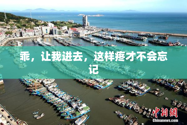 乖，让我进去，这样疼才不会忘记