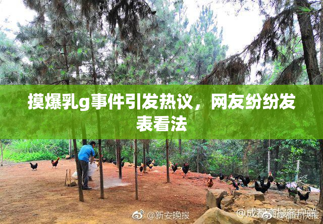 摸爆乳g事件引发热议，网友纷纷发表看法
