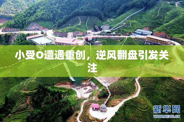 小受O遭遇重创，逆风翻盘引发关注
