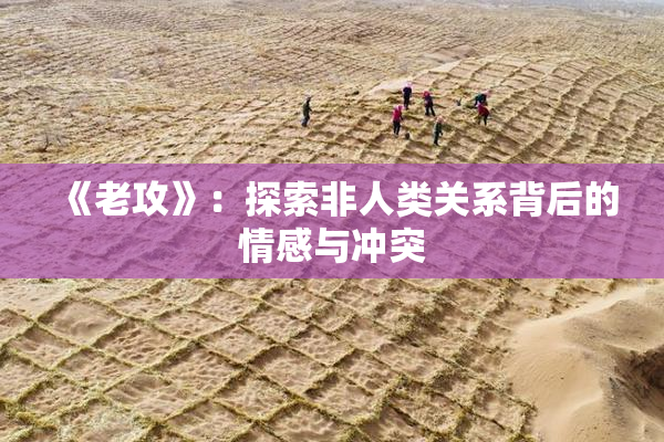 《老攻》：探索非人类关系背后的情感与冲突