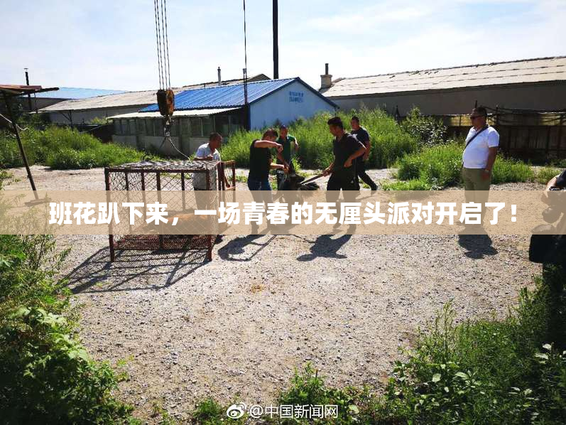 班花趴下来，一场青春的无厘头派对开启了！