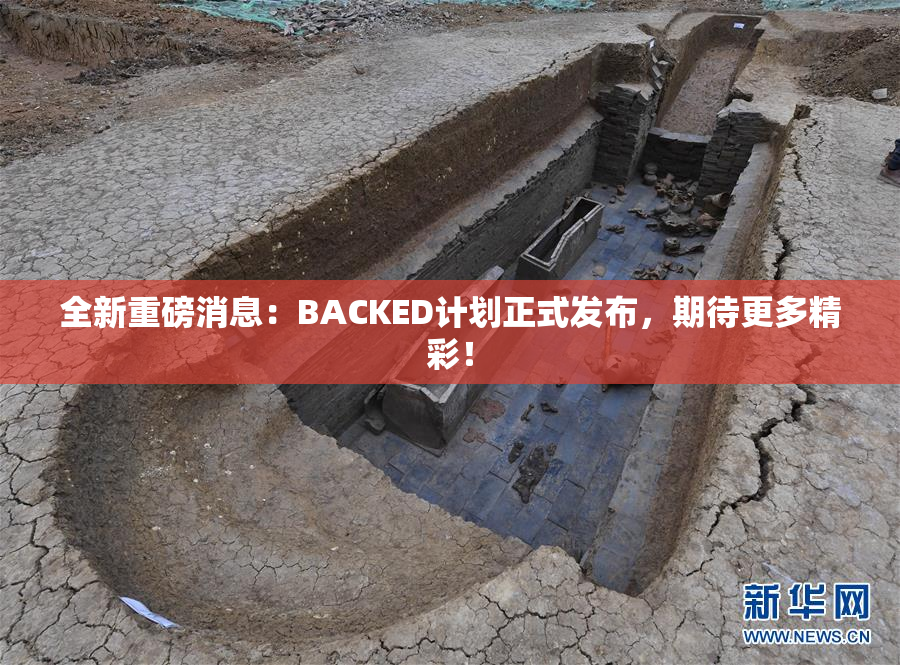 全新重磅消息：BACKED计划正式发布，期待更多精彩！