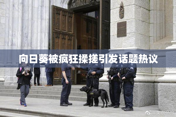 向日葵被疯狂揉搓引发话题热议