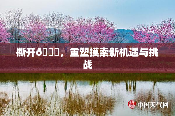撕开👙，重塑摸索新机遇与挑战