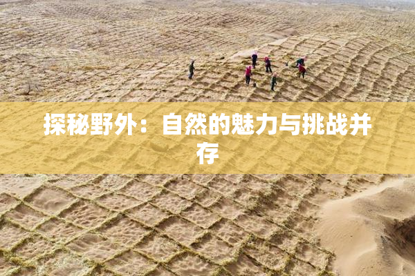 探秘野外：自然的魅力与挑战并存