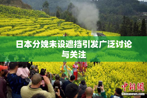 日本分娩未设遮挡引发广泛讨论与关注