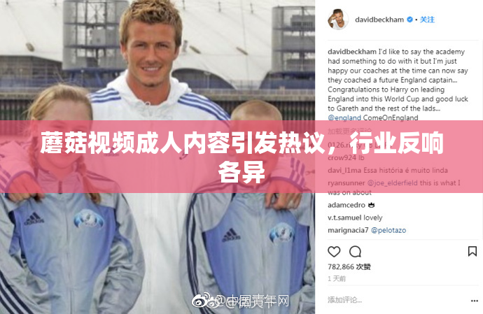 蘑菇视频成人内容引发热议，行业反响各异