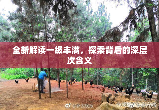 全新解读一级丰满，探索背后的深层次含义