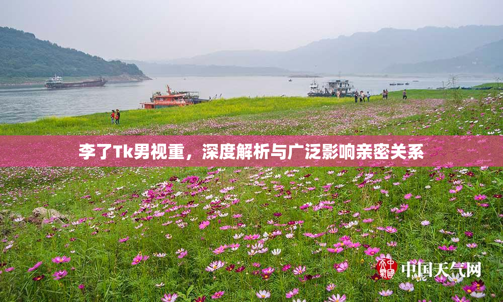 李了Tk男视重，深度解析与广泛影响亲密关系