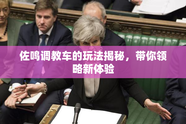 佐鸣调教车的玩法揭秘，带你领略新体验