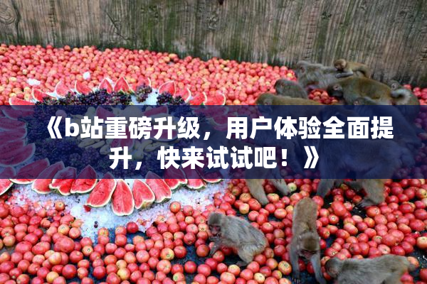 《b站重磅升级，用户体验全面提升，快来试试吧！》