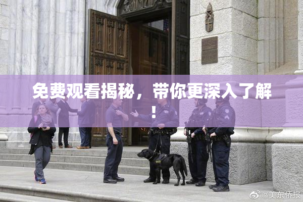 免费观看揭秘，带你更深入了解！