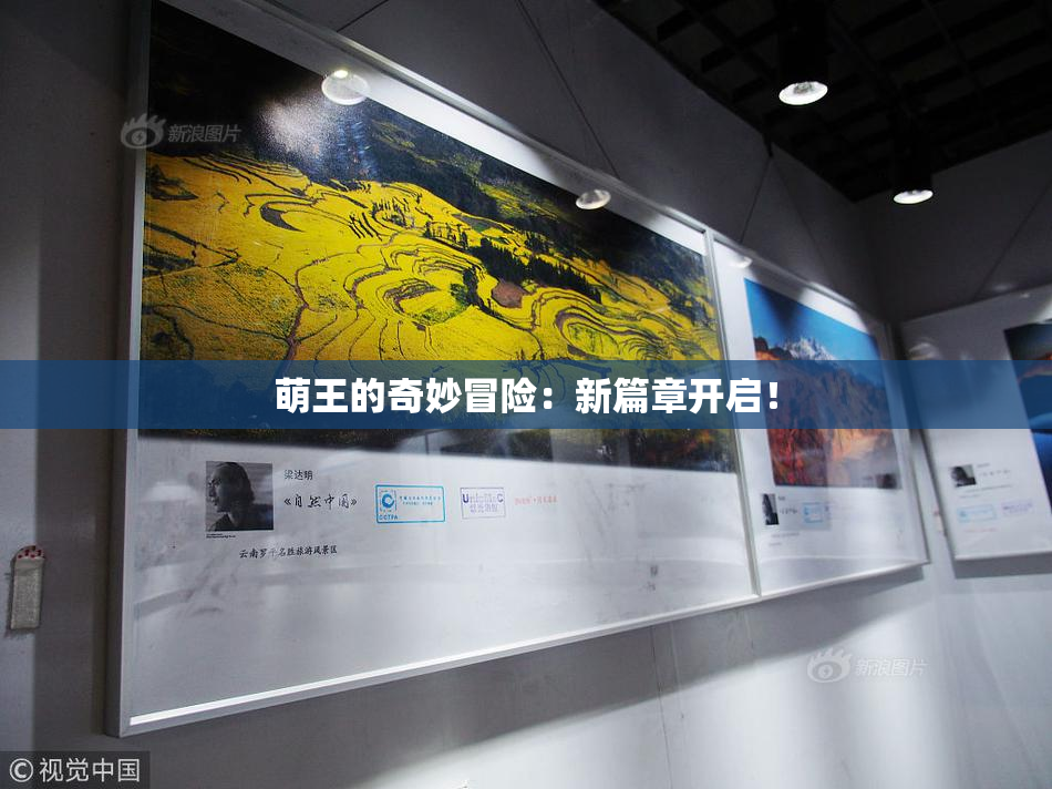 萌王的奇妙冒险：新篇章开启！