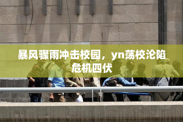 暴风骤雨冲击校园，yn荡校沦陷危机四伏
