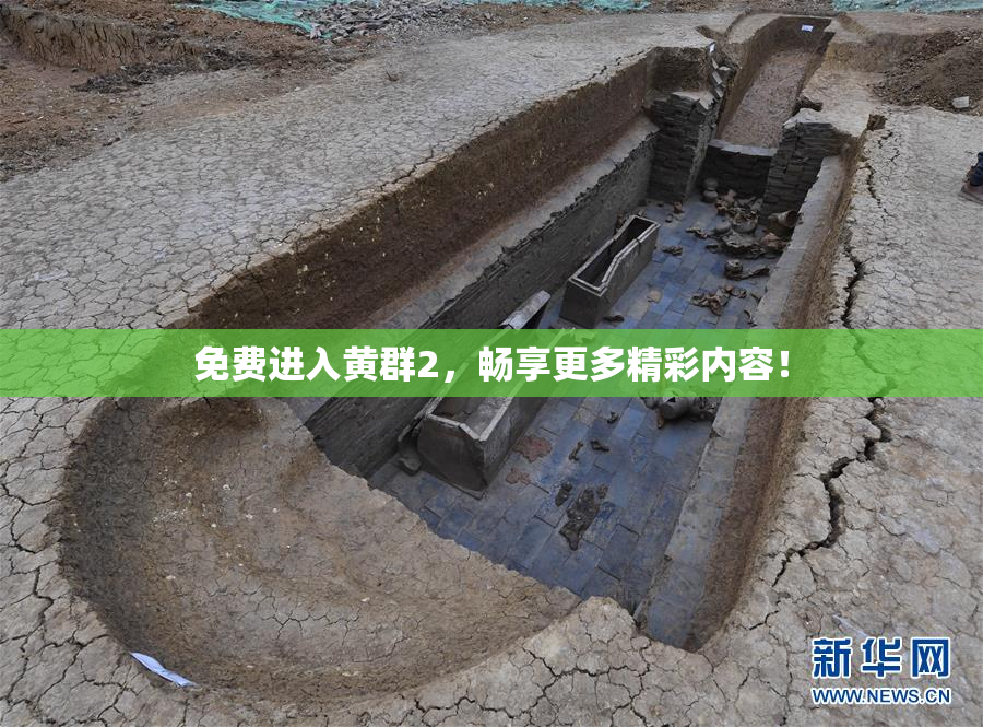 免费进入黄群2，畅享更多精彩内容！
