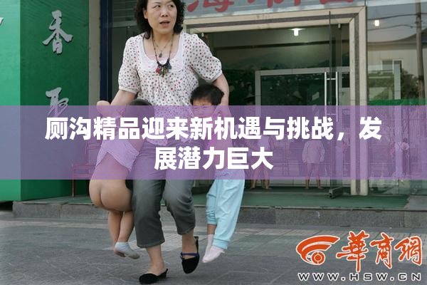 厕沟精品迎来新机遇与挑战，发展潜力巨大