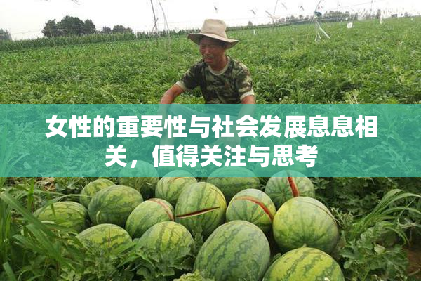 女性的重要性与社会发展息息相关，值得关注与思考