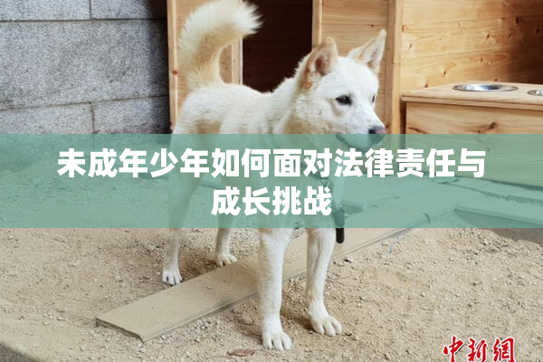 未成年少年如何面对法律责任与成长挑战