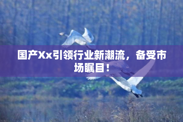 国产Xx引领行业新潮流，备受市场瞩目！