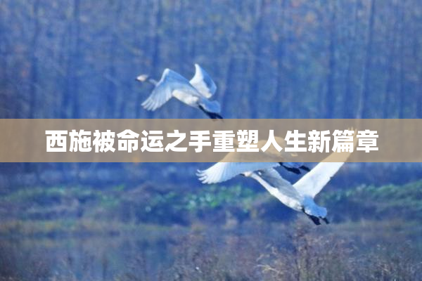 西施被命运之手重塑人生新篇章