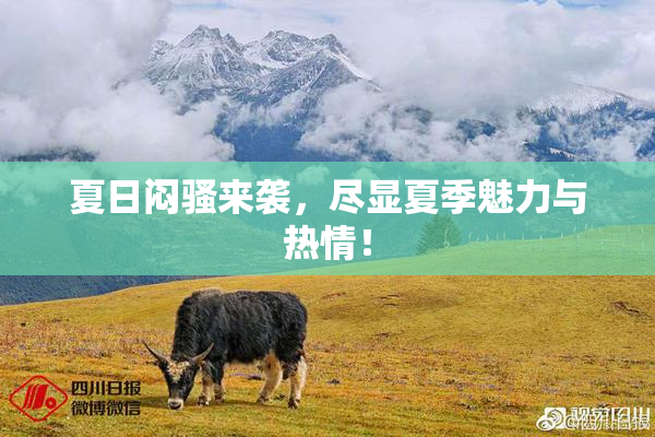 夏日闷骚来袭，尽显夏季魅力与热情！
