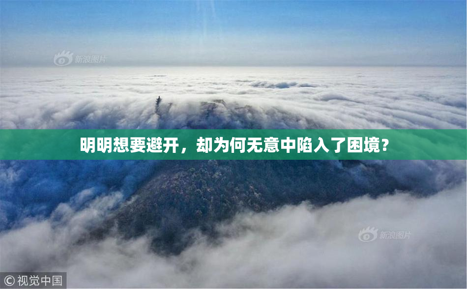 明明想要避开，却为何无意中陷入了困境？