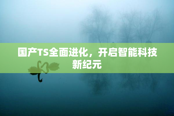 国产TS全面进化，开启智能科技新纪元