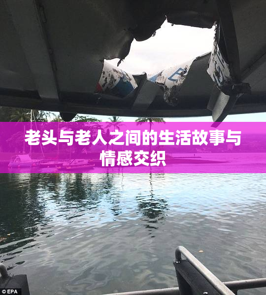 老头与老人之间的生活故事与情感交织