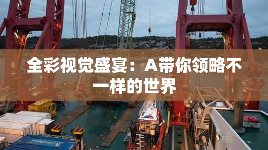 全彩视觉盛宴：A带你领略不一样的世界