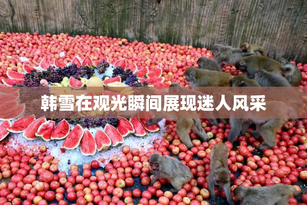 韩雪在观光瞬间展现迷人风采
