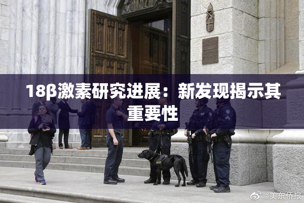 18β激素研究进展：新发现揭示其重要性