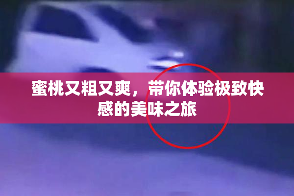蜜桃又粗又爽，带你体验极致快感的美味之旅