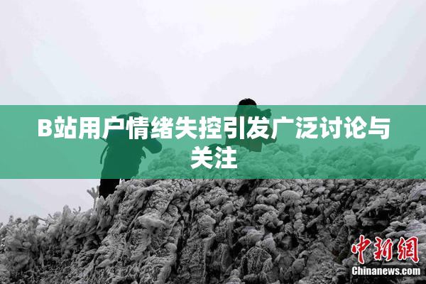 B站用户情绪失控引发广泛讨论与关注
