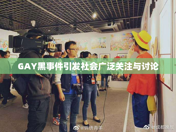 GAY黑事件引发社会广泛关注与讨论